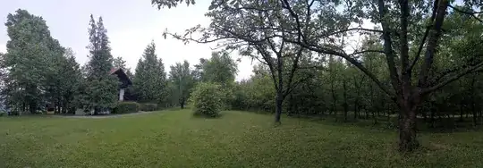 Wide angle shot in June