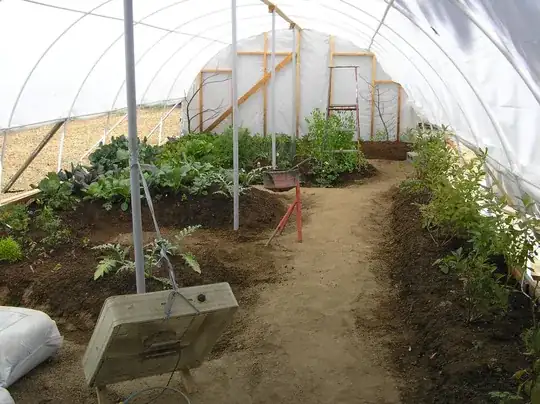 temporary hoop house over raised beds