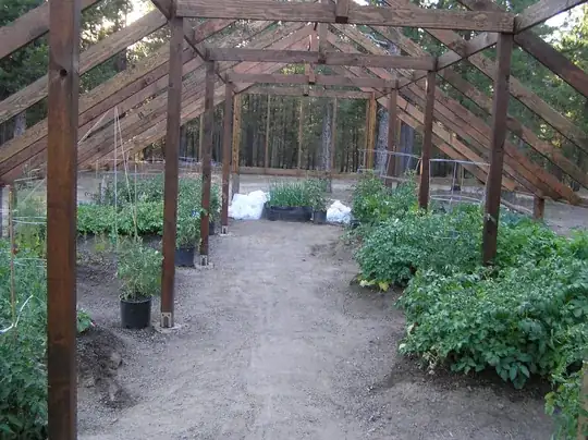 raised beds early spring with mostly potatoes