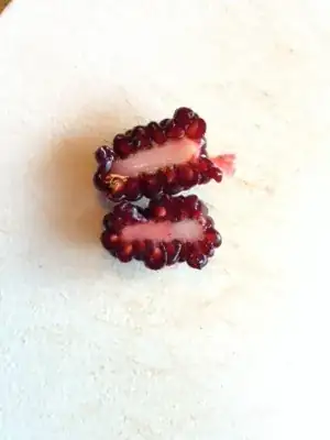 fruit cut open