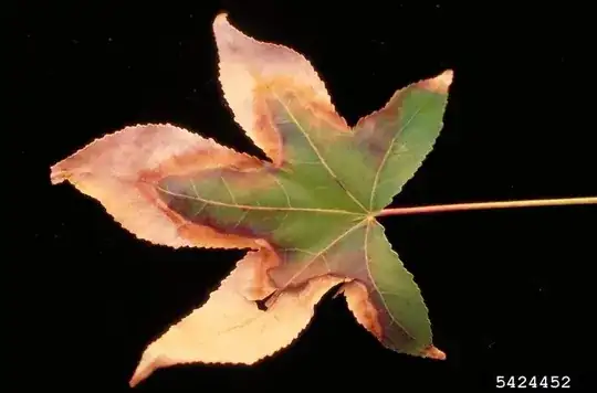 John Hartman, University of Kentucky, Bugwood.org