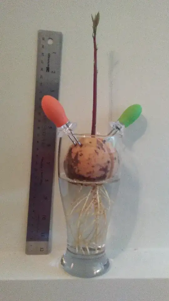 Fruit sliced up in a plate