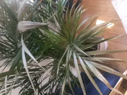 Fruits in a styrofoam box with its vine in the background, next to a container of snake cucumbers