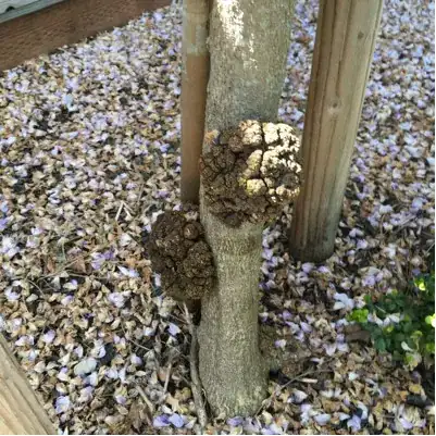 Plastic plant label with Sharpie ink after one year.