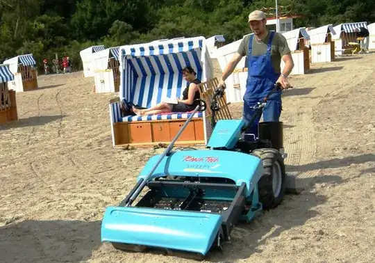 Black dots on leaves