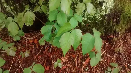 Same cluster as 3 and 4