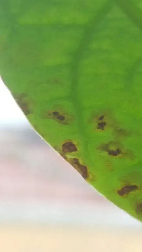Figure 3: Brown spot detail.