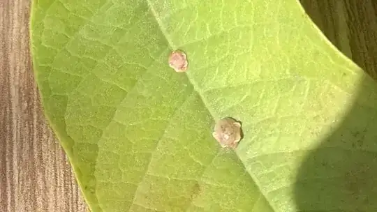 Bugs have resurfaced