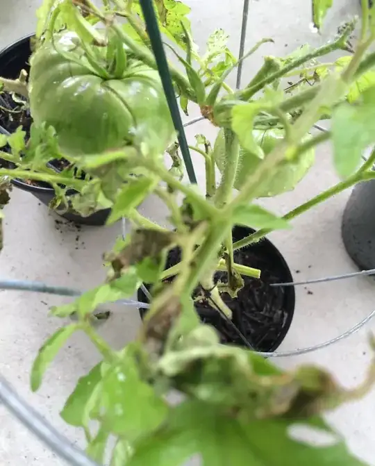 Smile for the camera....