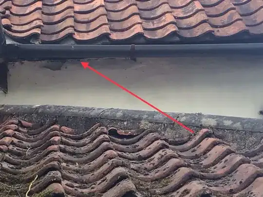 Image showing location of the wasp nest
