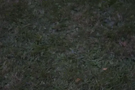 Front lawn close-up 2