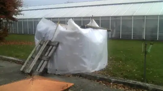 Frost protection: Bubble wrap around bananas