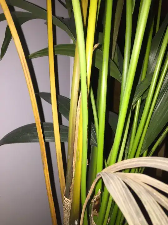 Yellow group of steams