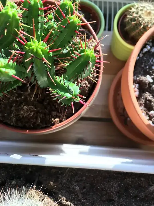 injury as seen yesterday