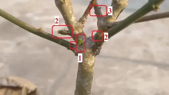 Mixed buds on a joint