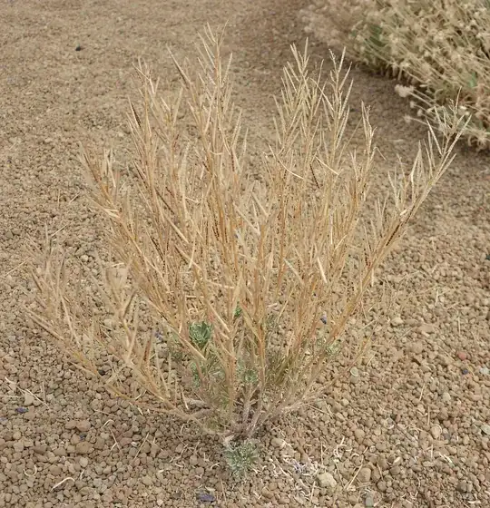 gap between deck & ground