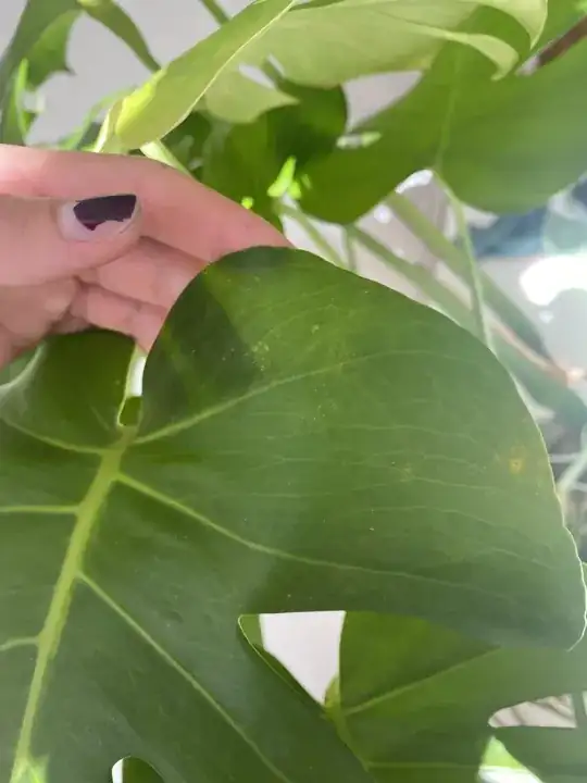 enter image description here