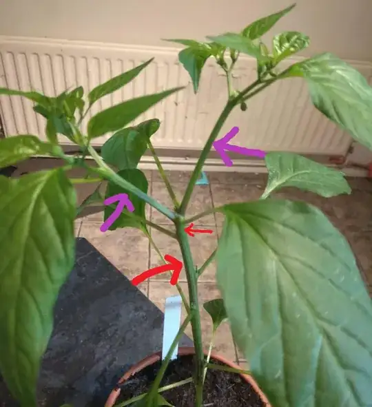 Honeysuckle with white mould-like growth