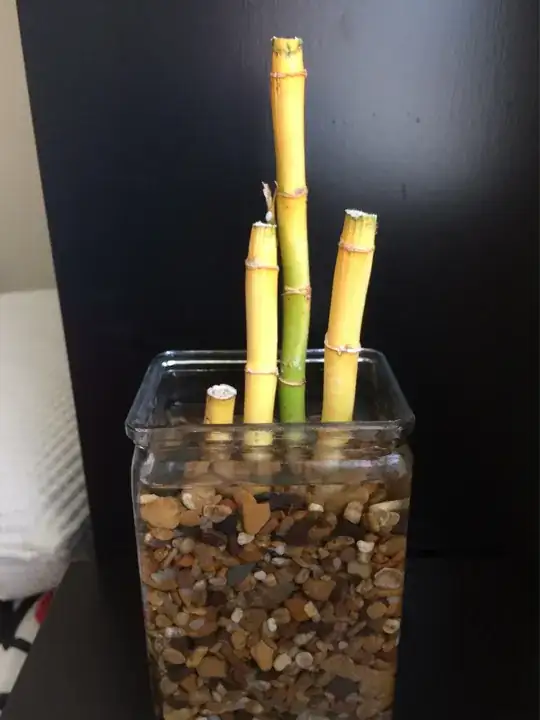 This is what it looks like right now.