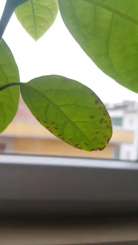 Figure 2: Brown leaf.