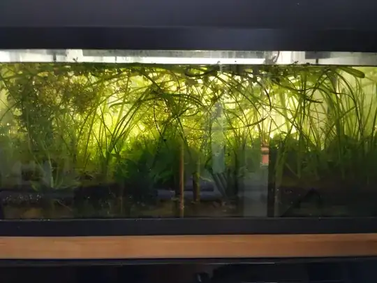 enter link description here