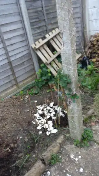 Attached to a pole, north facing