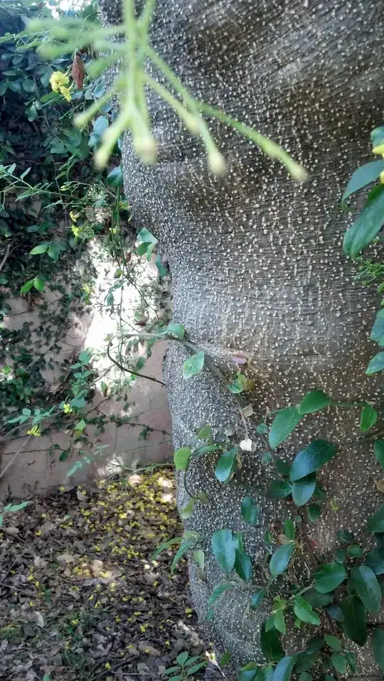 New leaf with faint spotting