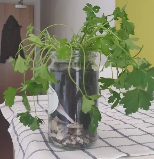 tuft of parsley in glass jar - SOS