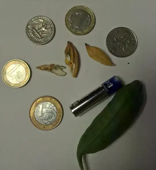 stepping stone blue stone