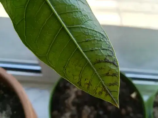 Side view shows it's all on one "plan" / "side"