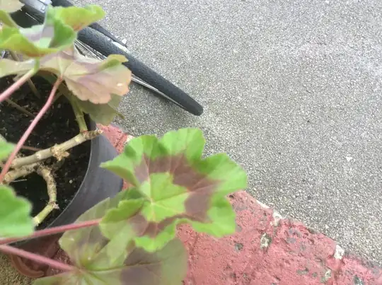 Photos to follow shortly.