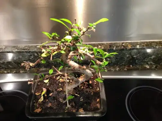 LED plant grow light