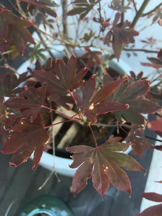 enter image description here