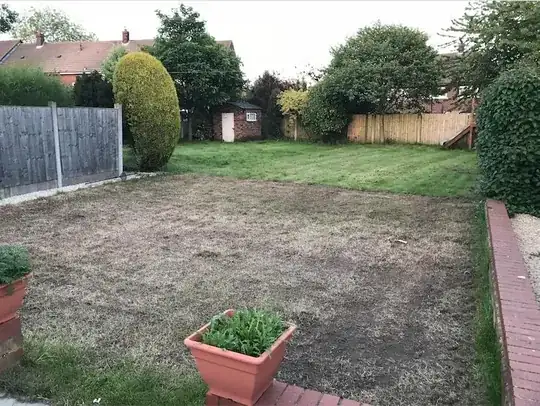 Lawn - Looking rough