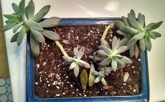 Solution Pic, too view