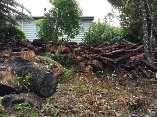 wood pile
