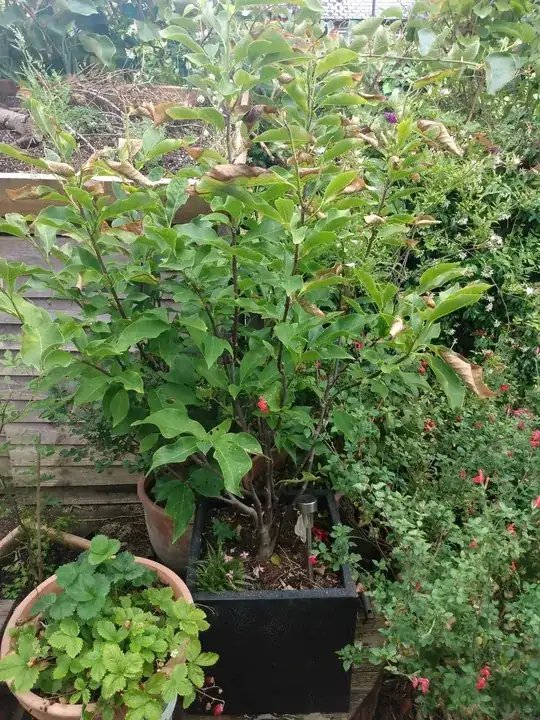 enter image description here