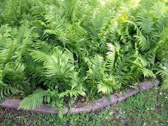 All flowers in here are now gone