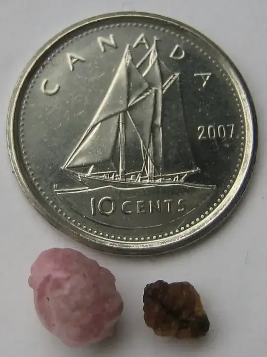 underside of peeled seed