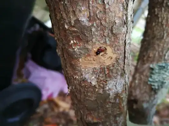 enter link description here