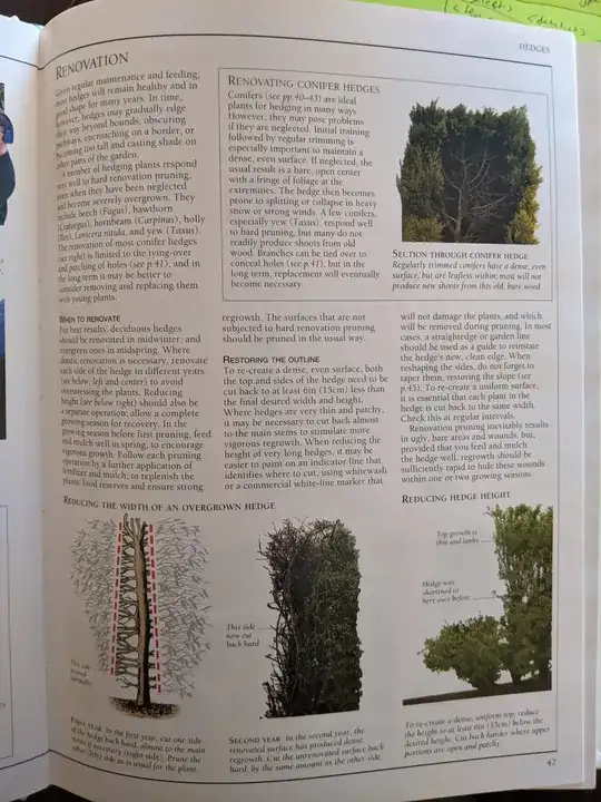 Renovation page from the book