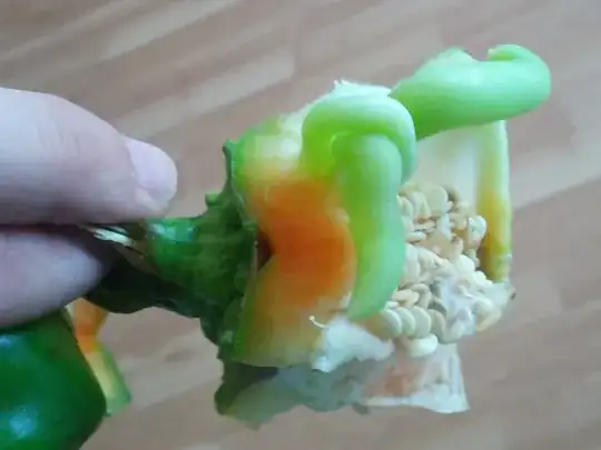 bell pepper growths