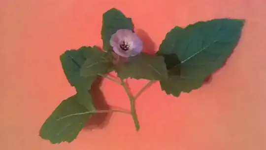 sick peppermint plant