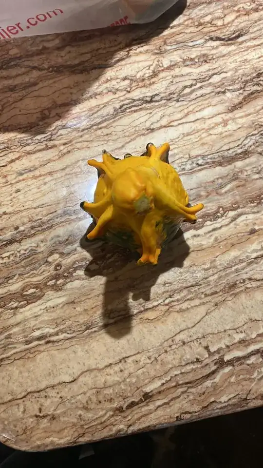 Photo of unidentified gourd 1