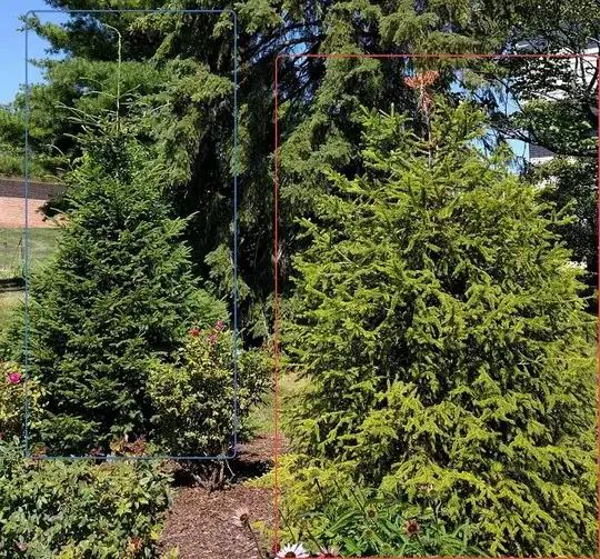 Healthy tree in blue, unhealthy tree in red