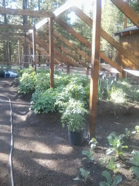 my garden with new raised beds[![][1][1]