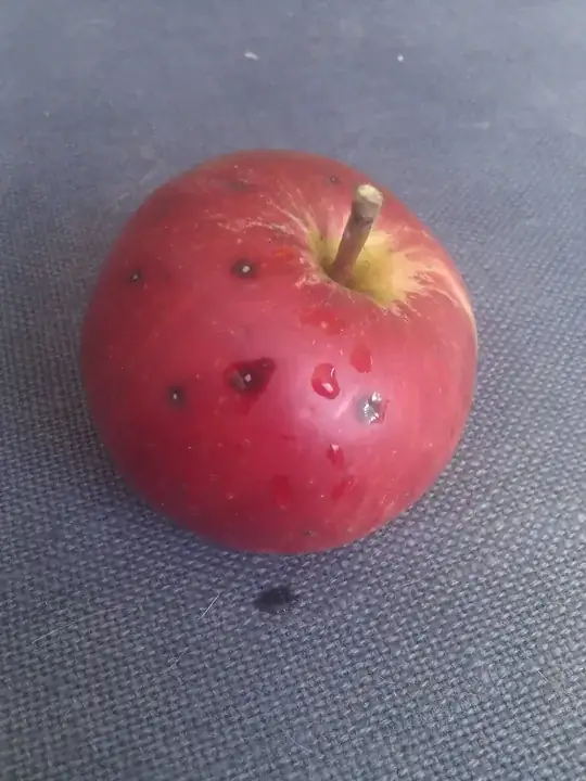 This are new plants that I want to transplant.