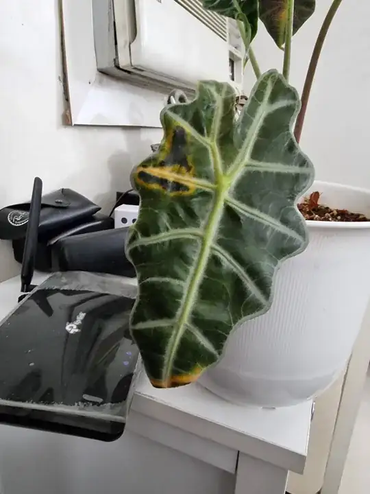 enter image description here