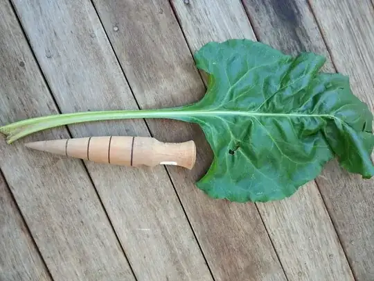 mystery vegetable