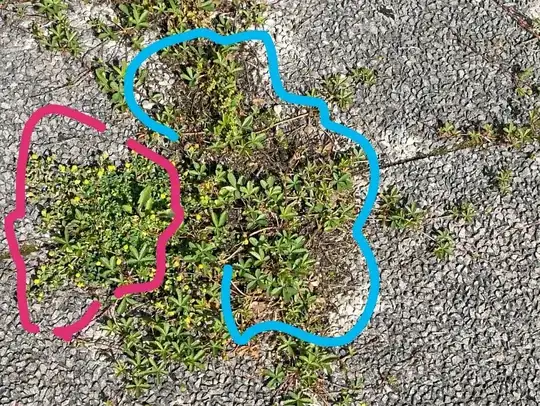 something I know not